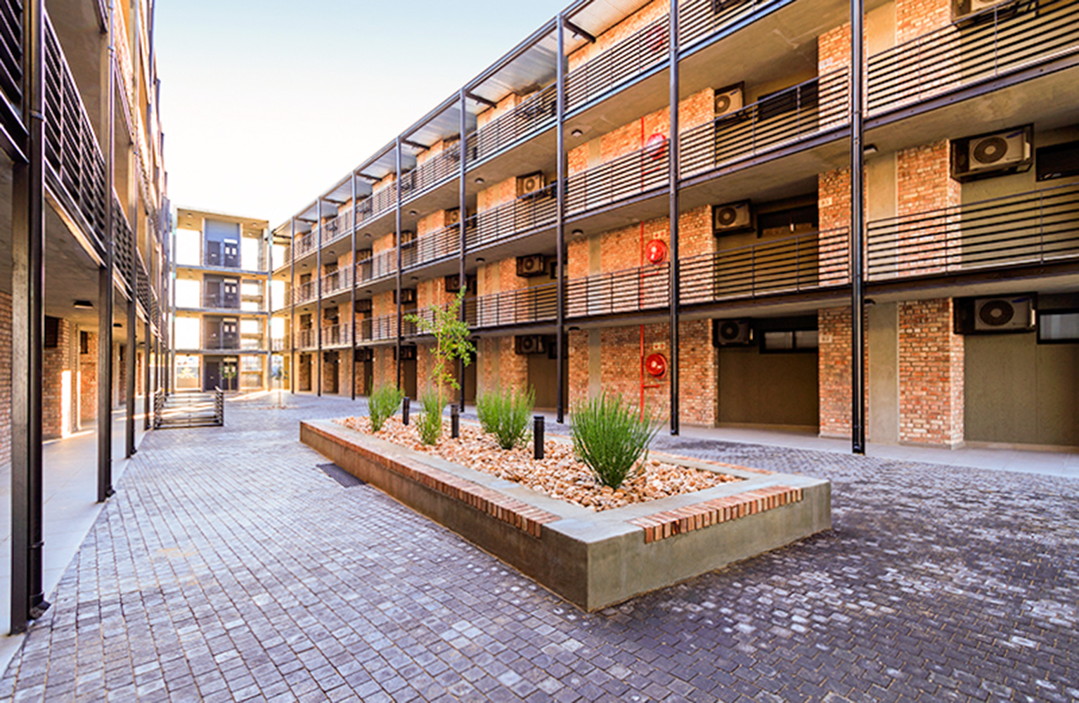 Wild Olive Suzaan Hennig Real Estate